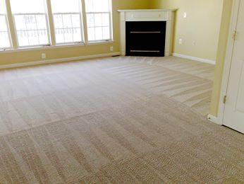 New looking cleaned carpet Essex